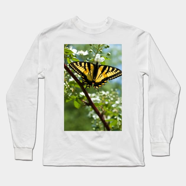 Tiger Swallowtail Butterfly Long Sleeve T-Shirt by srwdesign